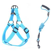 Helepet Round Dog Leash Harness Sky Blue Small