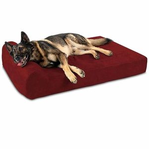 Beds 52 X 42 X10 Maroon Stripes