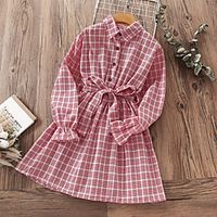 Kids Little Girls' Dress Plaid A Line Dress Daily Print Pink Above Knee Long Sleeve Beautiful Cute Dresses Children's Day Fall Spring Loose 3-12 Years miniinthebox - thumbnail