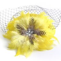 Elegant Retro Feathers / Net Fascinators with Feather / Crystals / Rhinestones 1 Piece Special Occasion / Party / Evening Headpiece miniinthebox Elegant Retro Feathers / Net Fascinators with Feather / Crystals / Rhinestones 1 Piece Special Occasion / Party / Evening Headpiece miniinthebox
