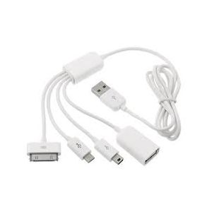 4 in 1 USB Cable One Meter