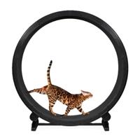 One Fast Cat Exercise Wheel 6th Generation For Cat - Black