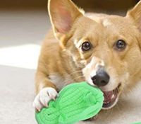 For Pet Slipper Shaped Natural Cotton Chew Toys For Dogs - Green