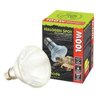 Komodo Halogen Spot Bulb ES 100W