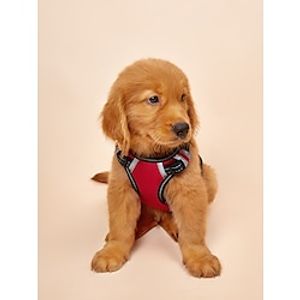 Dog Cat Harness Adjustable Escape Proof Safety Safety Sports Adjustable Outdoor Running Walking Solid Colored Polyester Small Dog Medium Dog Large Dog Light Red Blue 1PC Lightinthebox