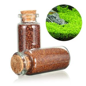 Plant Seed Aquarium Fish Tank Plants Prospects Grass Seed Grass Landscaping Decoration