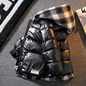 Boys Down Jacket Winter Coat Long Sleeve Outerwear Plaid Boys Waterproof Hooded Keep Warm Jacket  Daily Childrens Clothes Lightinthebox