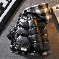 Boys Down Jacket Winter Coat Long Sleeve Outerwear Plaid Boys Waterproof Hooded Keep Warm Jacket  Daily Childrens Clothes Lightinthebox - thumbnail