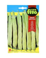 Fito Bean RomanoBush Plaja Seeds Fito Bean RomanoBush Plaja Seeds
