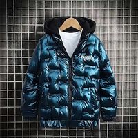 Kids Boys Hoodie Jacket Outerwear Solid Color Long Sleeve Zipper Coat Outdoor Cool Daily Black Blue Grey Spring Fall 7-13 Years Lightinthebox - thumbnail