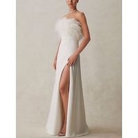 A-Line Evening Gown Elegant Dress Formal Floor Length Sleeveless Strapless Stretch Fabric with Feather Slit Lightinthebox - thumbnail