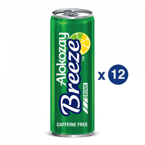 Alokozay Breeze Regular 250ml X Pack Of 12