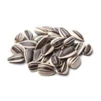 Vadigran Sunflower Seed Small Striped 500g