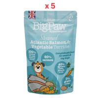 Little Big Paw Dog Salmon & Vegetable Dinner -150g (Pack Of 5)