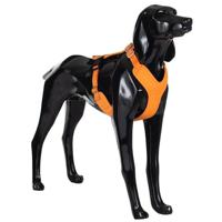 Paikka Visibility Harness For Dogs - Orange Large