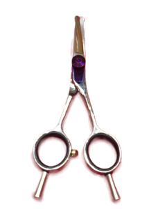 Chris Christophe 4 Inches Safety Scissor