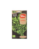 Euro Garden Organic Parsley Seeds