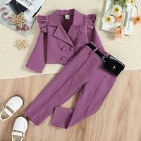 Girls' Solid Color Clothing Set Set Long Sleeve Fashion Outdoor Cotton Winter Purple Pink  Fall Lightinthebox - thumbnail