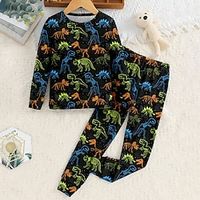 Boys 3D Dinosaur Pajama Set Long Sleeve 3D Print Fall Winter Active Cool Daily Polyester Kids 3-12 Years Crew Neck Home Causal Indoor Regular Fit Lightinthebox - thumbnail