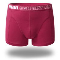 U Convex Pouch Boxers