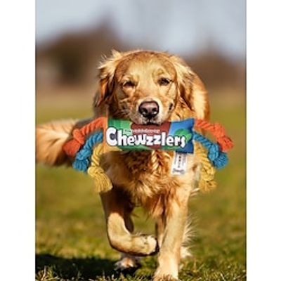 1 pet toy rainbow twist candy knot dog puzzle toy dog bite training teeth grinding toy sound toy dog cat dog toy Lightinthebox