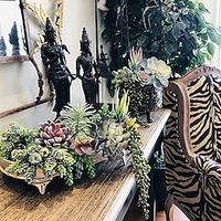 Artificial Succulents Premium Unpotted Succulent Plants Artificial - Realistic Textured Succulents - Fake Succulent Plants for DIY - Faux Cactus Plant Bulk - Feaux Succulent Plants miniinthebox - thumbnail