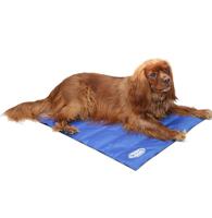 Scruffs Cool Dog Mat Large