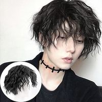 Brown Wigs for Men Male Wig Short Curly Black Synthetic Wigs with Bangs for Men Women Boy Lightinthebox - thumbnail