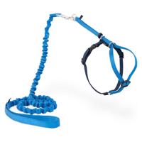 Pet Safe Easy Walk Cat Harness & Lead Cat Harnesses Royal Blue - Small