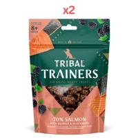 Tribal Trainers Salmon Quinoa & Blackberry Dog Treats 80g (Pack of 2)
