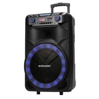 Sonashi 15inch Rechargeable Trolley Speaker - SPS-7915RT