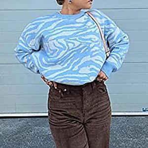 Women's Pullover Sweater Modern Style Zebra Print Active Casual Long Sleeve Sweater Cardigans Round Neck Fall Winter Blue Lightinthebox