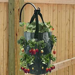 Grow Bag Hanging Planter Bag with Handles Multi Planting Holes Strawberry Planting Container Foldable Durable Growing Bags Grow Planter for Growing Vegetables Fruits Flowers Herb Plant Lightinthebox