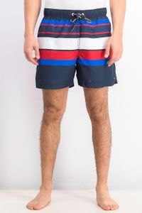 Mens Stripe Swim Trunks  Navy Combo