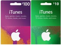 $100 & $10 USA iTunes Card Bundle (Instant E-mail Delivery)