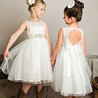 Kids Girls' Party Dress Solid Color Sleeveless Performance Mesh Princess Sweet Mesh Mid-Calf Sheath Dress Tulle Dress Summer Spring Fall 2-12 Years White Lightinthebox