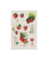 Now Designs Vintage Straberries Printed Kitchen Towel