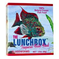 San Fransisco Bay Lunch Box Bloodworm Frozen 40 Ct 80g