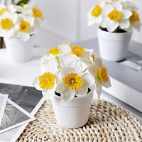 Artificial Flower Plastic Modern Contemporary Irregular Tabletop Flower Irregular 1 Lightinthebox