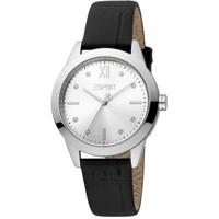 Esprit Silver Women Watch (ES-1042738)