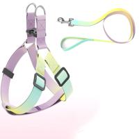 Helepet Flat Pet Leash Harness-Plastic Buckle Small Green Rainbow