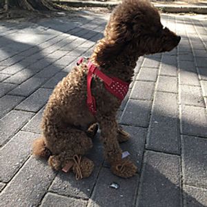 Dog Boots / Shoes Snow Boots Anti-Slip Keep Warm Solid Colored For Pets PU Leather Brown miniinthebox