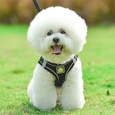 Dog Harness and Leash Set No Pull Soft Mesh Reflective Escape Proof Small Dog Cat Vest Adjustable Pet Outdoor Harnesses for Puppy Kitten Rabbit Lightinthebox