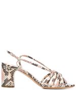 Casadei Safari strappy sandals - NEUTRALS