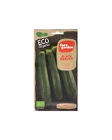 Euro Garden Organic Squash Seeds