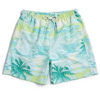 Men's Swim Shorts Swim Trunks Bermuda shorts Board Shorts Beach Shorts Drawstring Elastic Waist 3D Print Graphic Coconut Tree Breathable Soft Short Casual Daily Holiday Boho Streetwear Light Green Lightinthebox - thumbnail