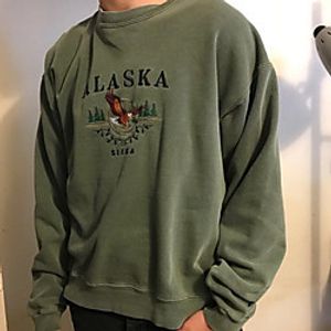 Men's Sweatshirt Eagle Casual Daily Holiday Casual Big and Tall Hoodies Sweatshirts  Green miniinthebox