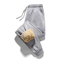 Women's Fleece Pants Sweatpants Pants Trousers Full Length Active Streetwear Outdoor Street Grey Black M L Fall Winter Lightinthebox - thumbnail