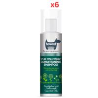 Hownd Yup You Stink Shampoo 250ml (Pack Of 2)