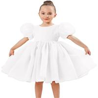 Girl Baby Toddler Puff Sleeve Organza Tulle Tutu Twirly Babydoll Flare Ball Gown Princess Flower Girl Dress Lightinthebox